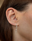 Silver Stream Ear climber